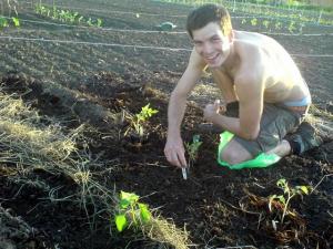 Selbsternte-Garten Selbsternte-Garten